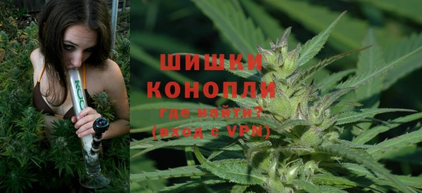 ешки Аркадак
