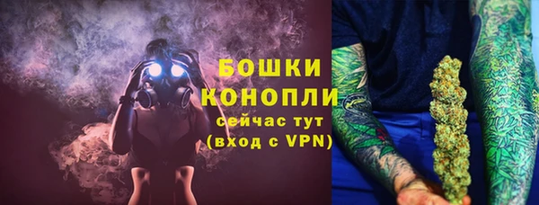 ешки Аркадак