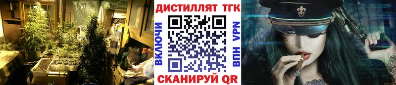 Купить Волхов Дистиллят ТГК Wax