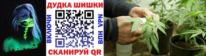 Купить закладки  Волхов  Конопля тримм 